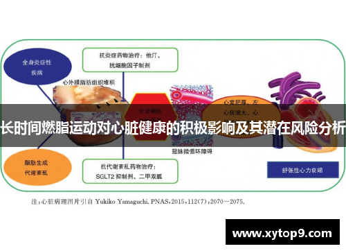 长时间燃脂运动对心脏健康的积极影响及其潜在风险分析