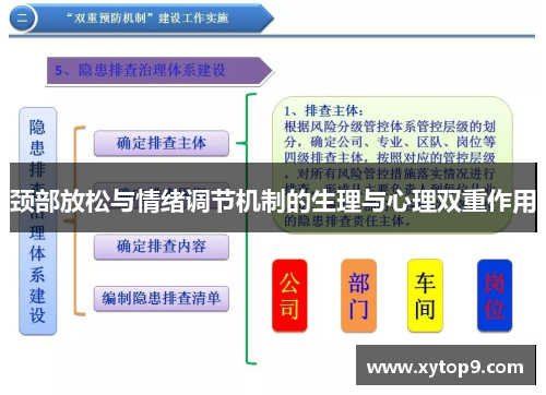 颈部放松与情绪调节机制的生理与心理双重作用